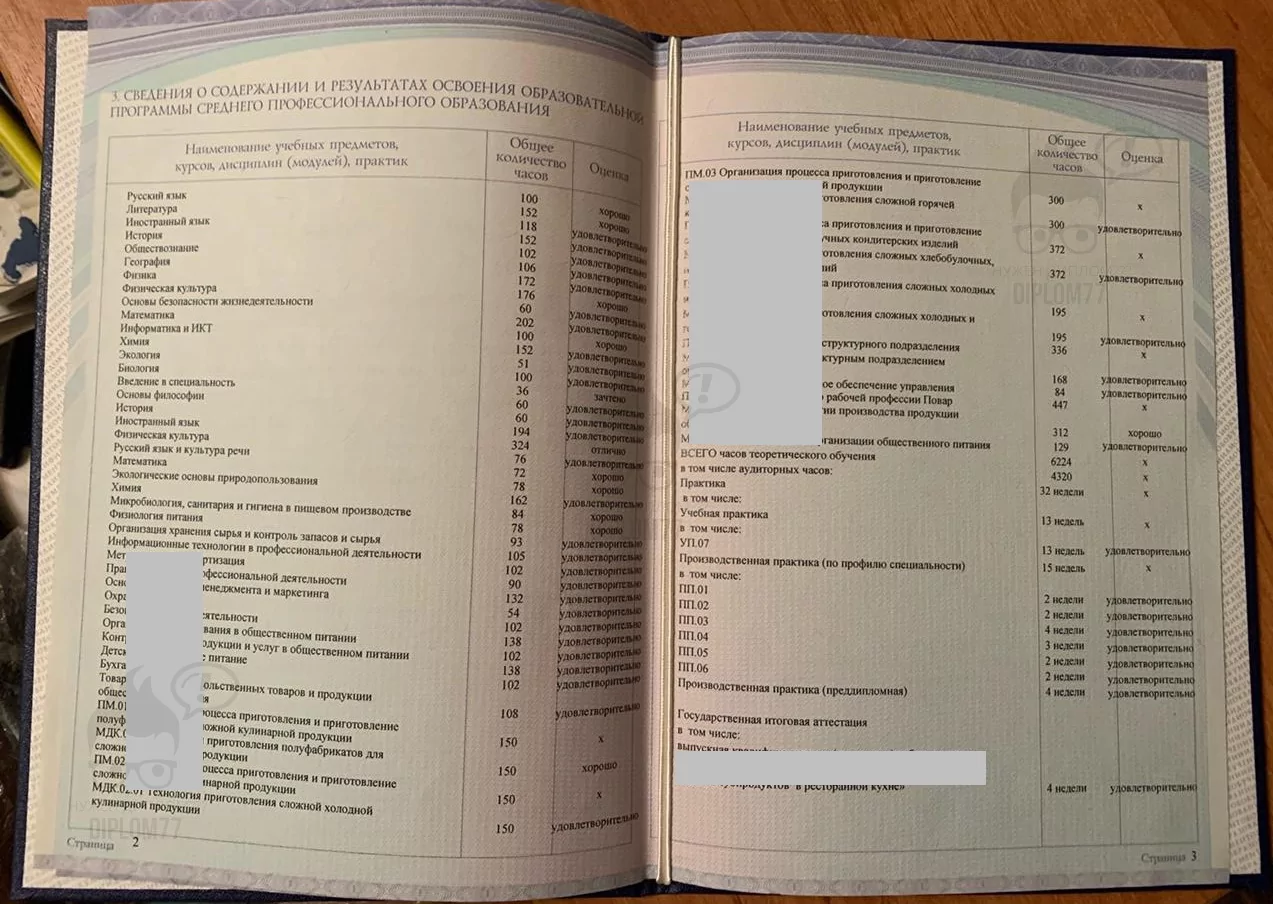 Предметы специальности