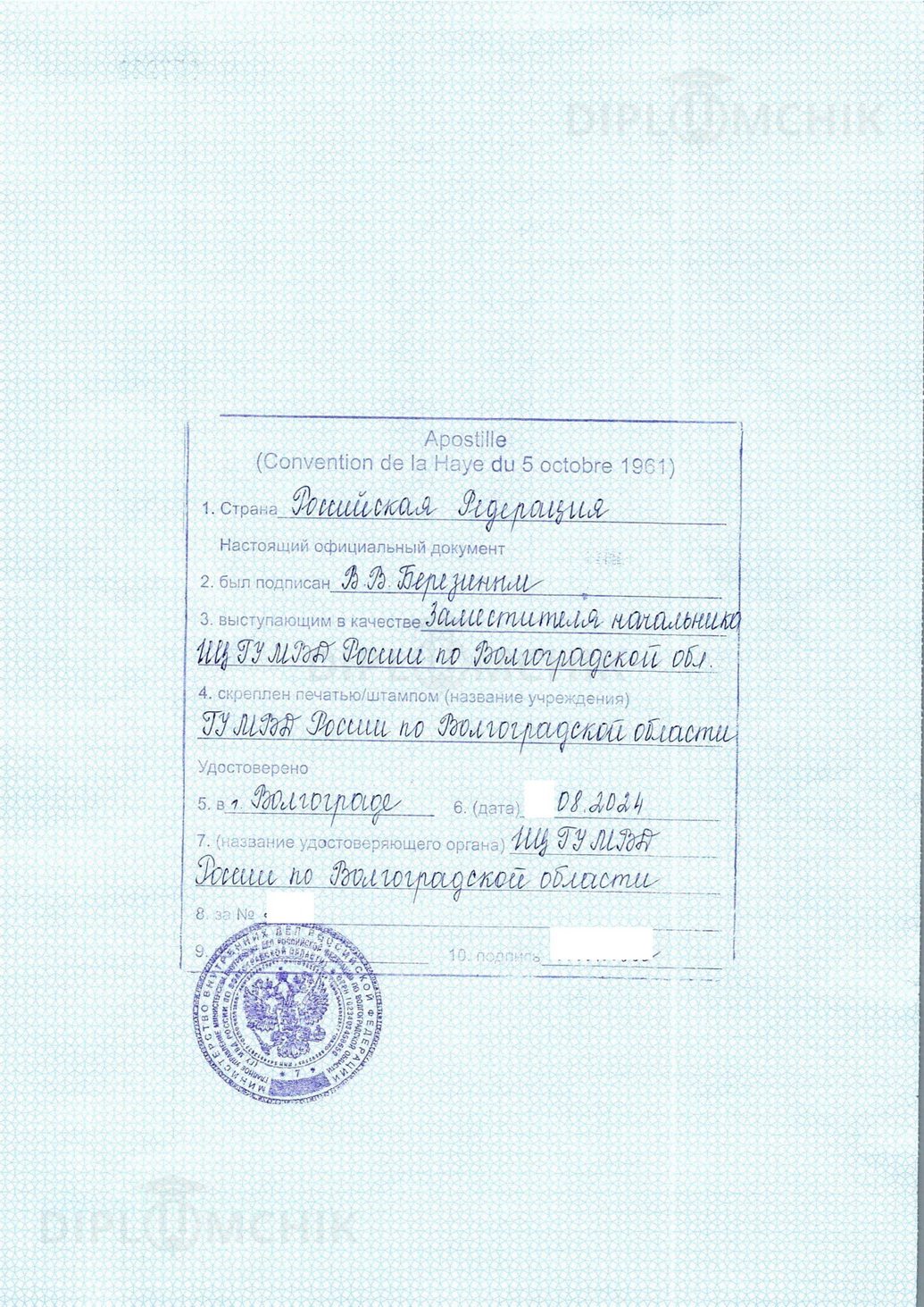 Апостиль на обороте справки о несудимости из ИЦ МВД Волгоградской области 2024 года